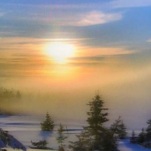 Meet your Posher, Maximilian